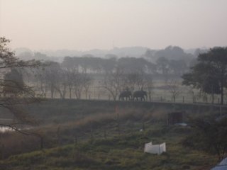 Mayapur 2018
